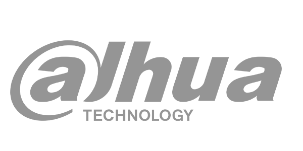 dahua